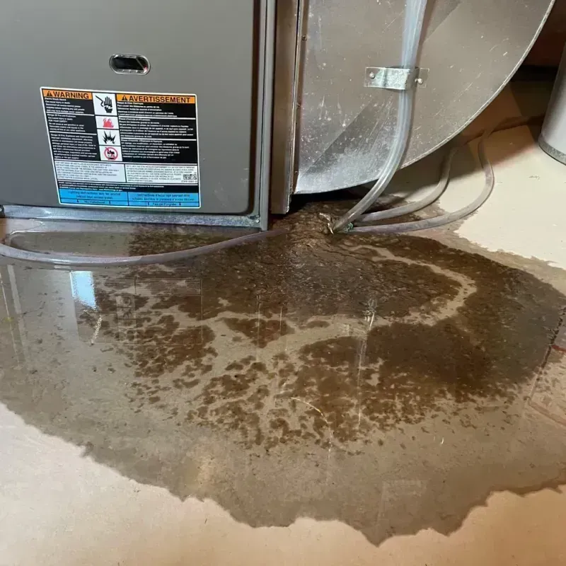 Appliance Leak Cleanup in Menard County, IL